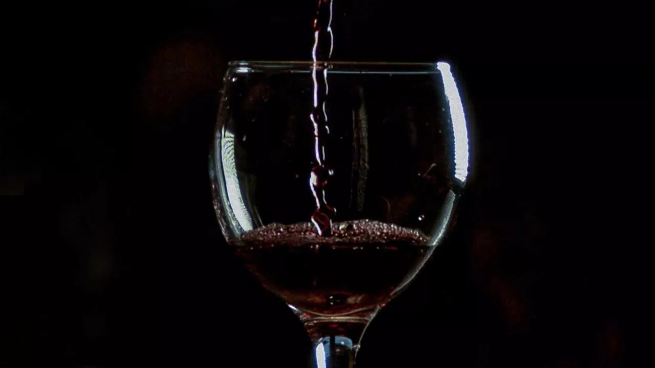 La scienza dietro il vino rosso: i suoi sorprendenti benefici per la salute e i potenziali rischi